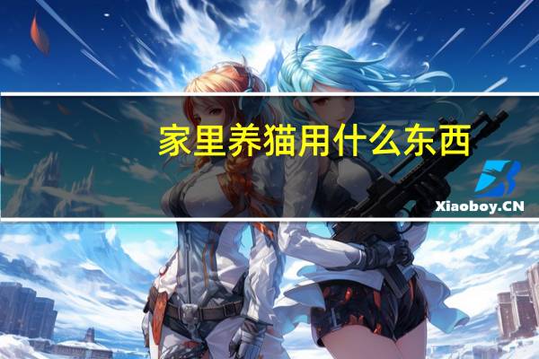 家里养猫用什么东西