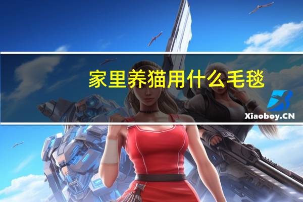 家里养猫用什么毛毯