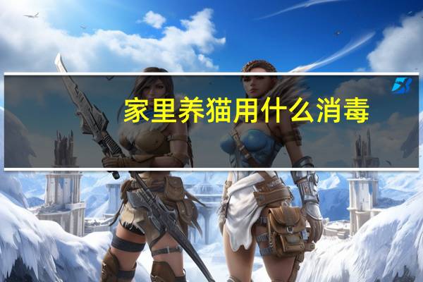 家里养猫用什么消毒