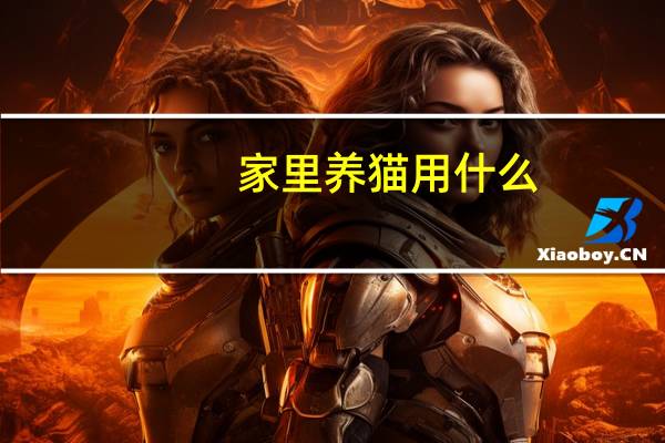 家里养猫用什么