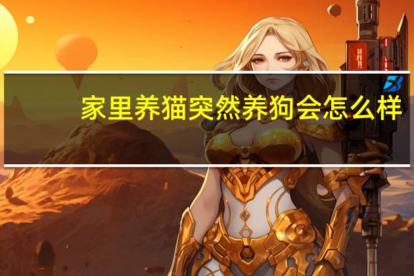 家里养猫突然养狗会怎么样