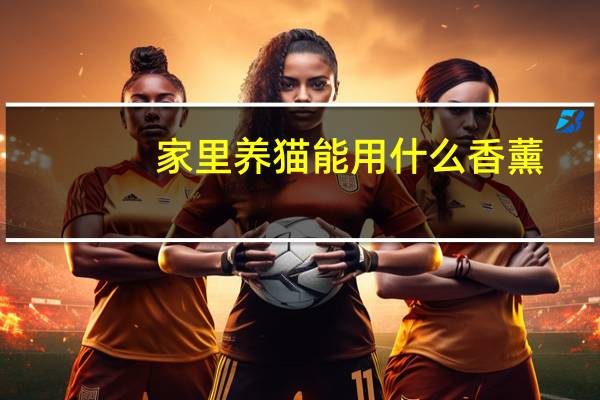 家里养猫能用什么香薰
