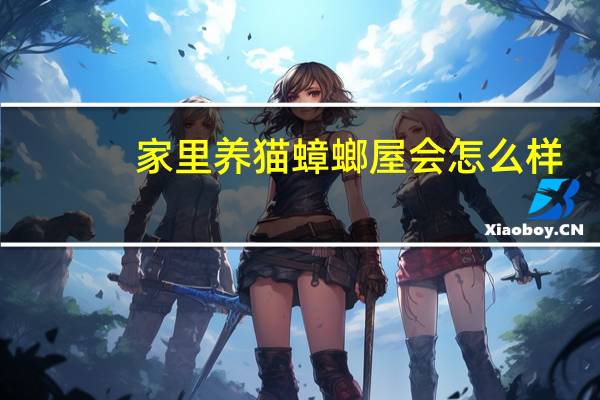 家里养猫蟑螂屋会怎么样