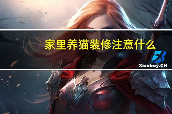 家里养猫装修注意什么