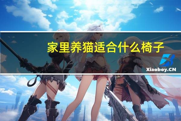 家里养猫适合什么椅子