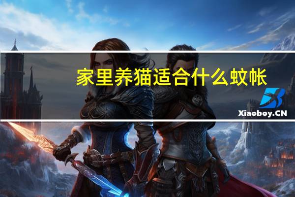 家里养猫适合什么蚊帐