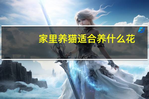 家里养猫适合养什么花