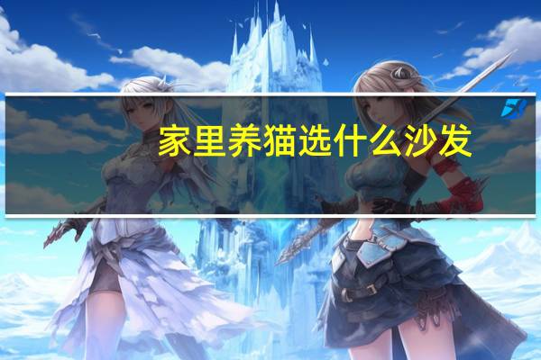 家里养猫选什么沙发