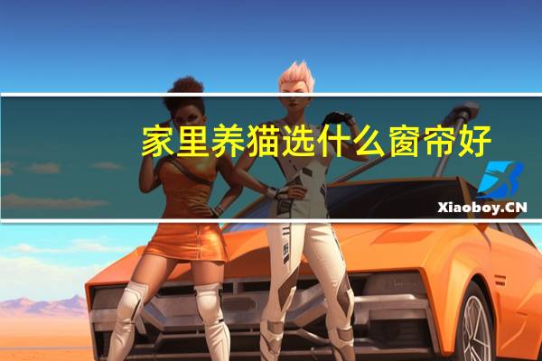家里养猫选什么窗帘好