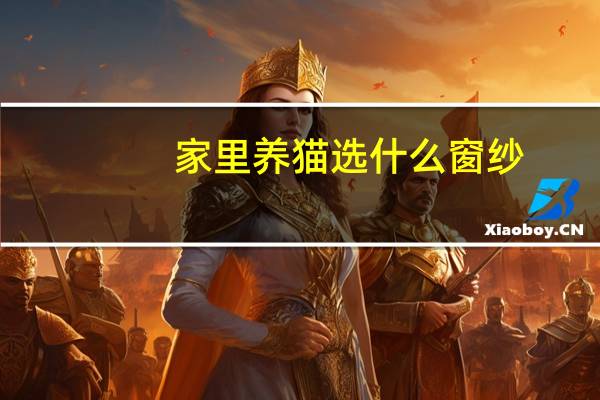 家里养猫选什么窗纱