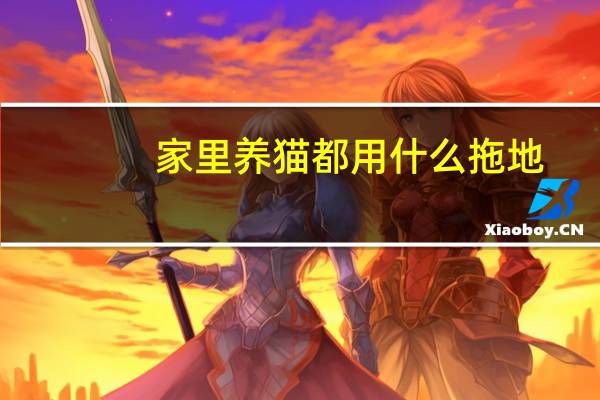 家里养猫都用什么拖地