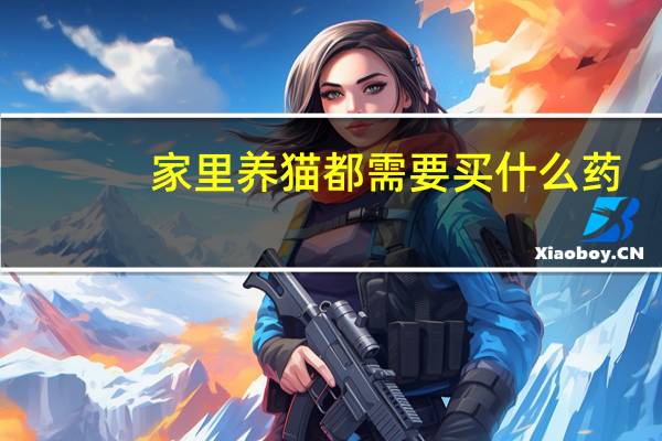 家里养猫都需要买什么药