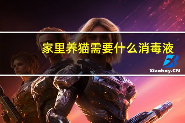 家里养猫需要什么消毒液