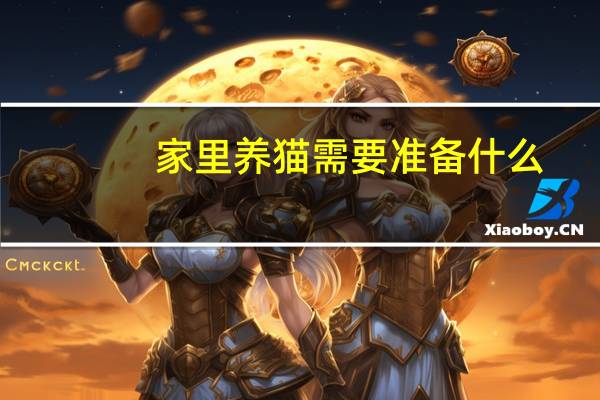 家里养猫需要准备什么