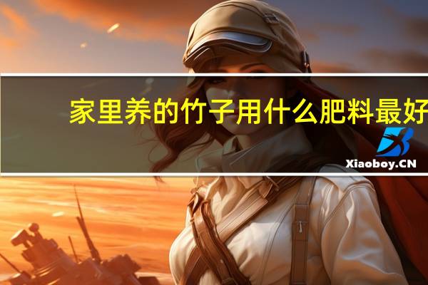家里养的竹子用什么肥料最好