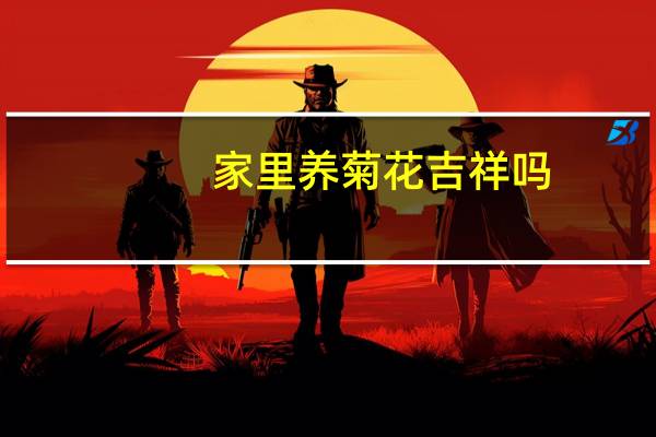 家里养菊花吉祥吗