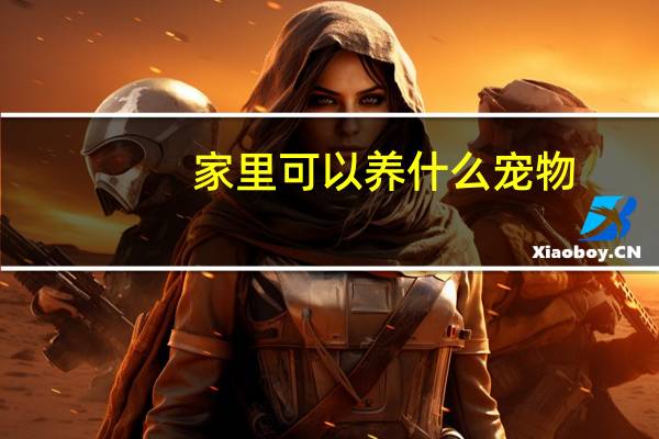 家里可以养什么宠物
