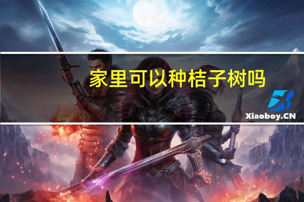 家里可以种桔子树吗