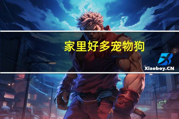 家里好多宠物狗