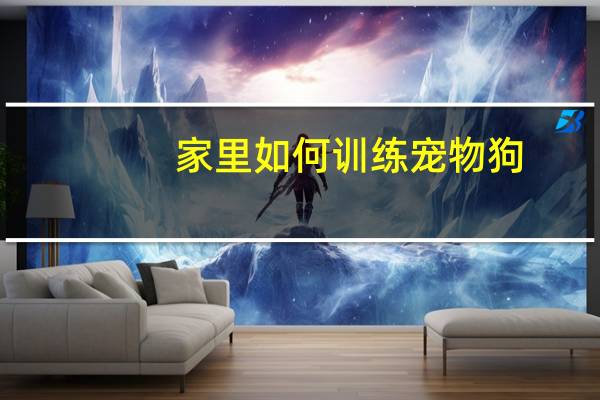 家里如何训练宠物狗