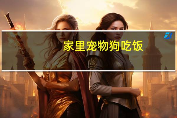 家里宠物狗吃饭