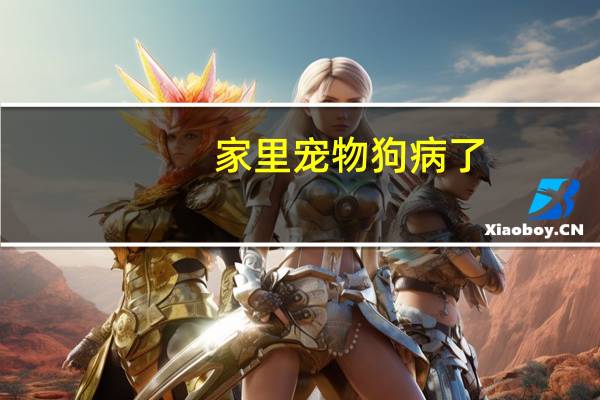 家里宠物狗病了