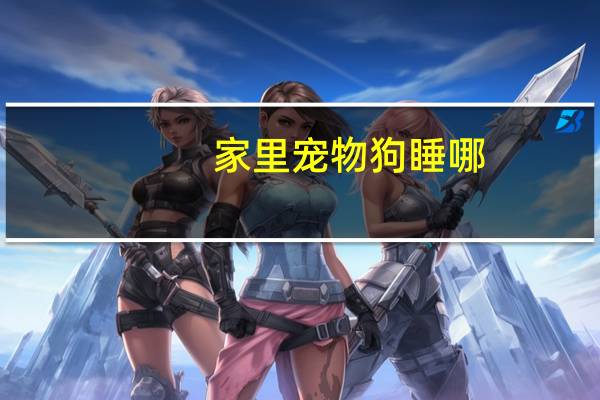 家里宠物狗睡哪