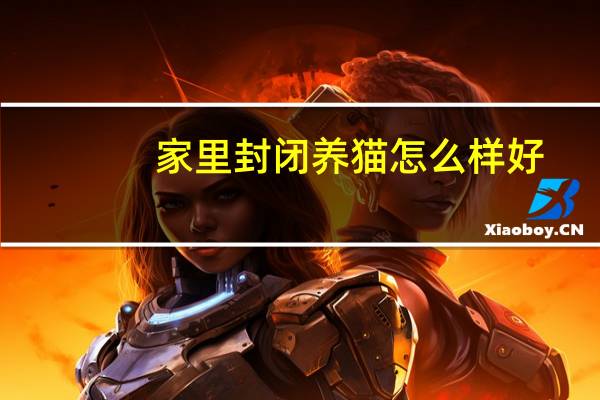 家里封闭养猫怎么样好