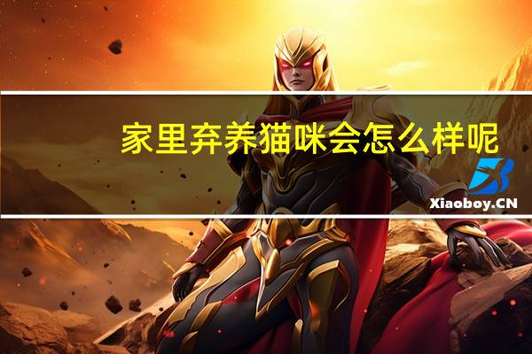 家里弃养猫咪会怎么样呢