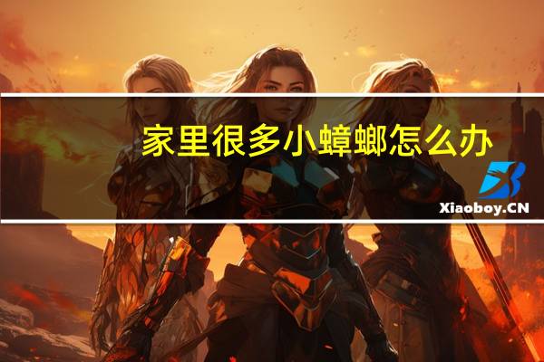 家里很多小蟑螂怎么办