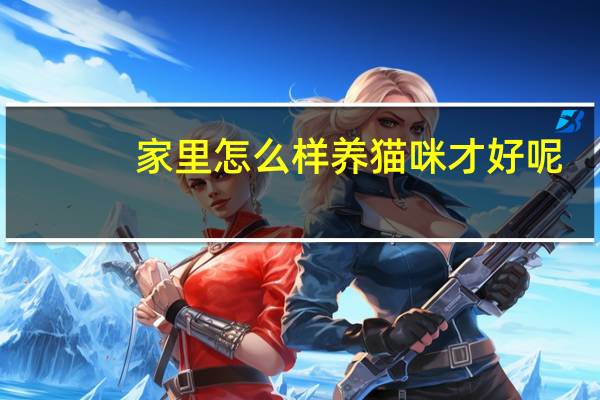 家里怎么样养猫咪才好呢