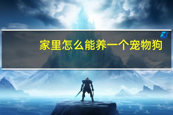 家里怎么能养一个宠物狗