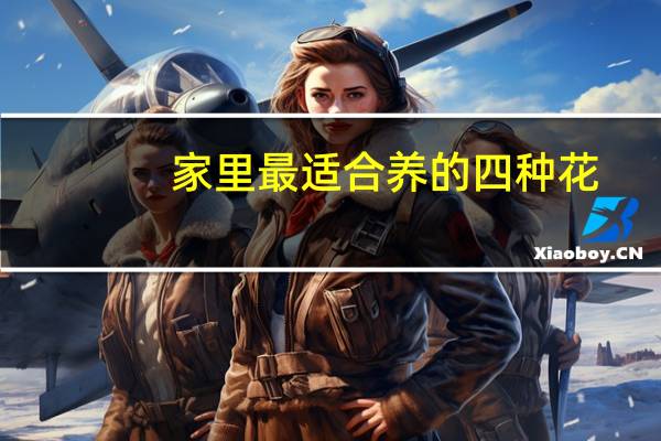 家里最适合养的四种花
