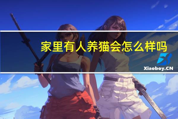 家里有人养猫会怎么样吗