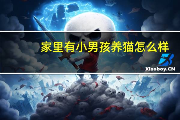 家里有小男孩养猫怎么样