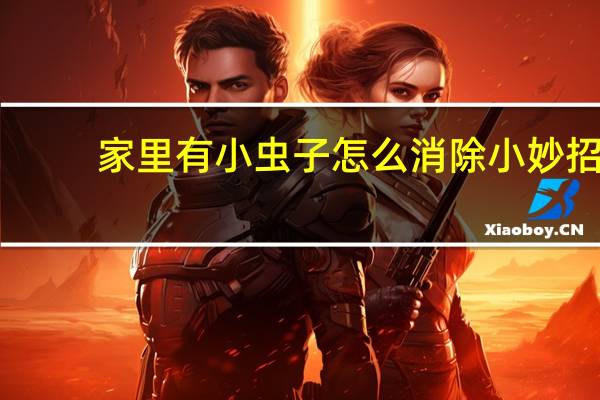 家里有小虫子怎么消除小妙招
