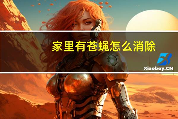 家里有苍蝇怎么消除（家里有苍蝇怎么消灭）