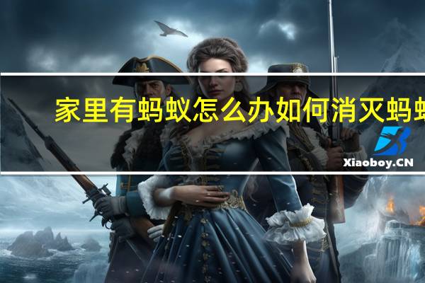 家里有蚂蚁怎么办 如何消灭蚂蚁（家里有蚂蚁怎么办）