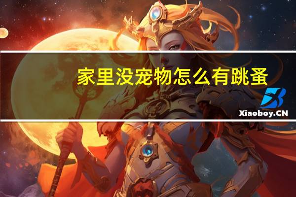 家里没宠物怎么有跳蚤