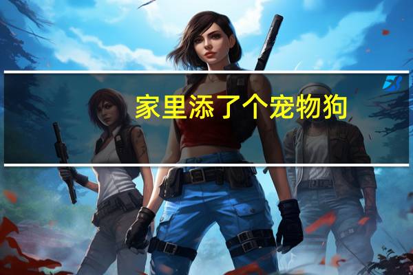 家里添了个宠物狗