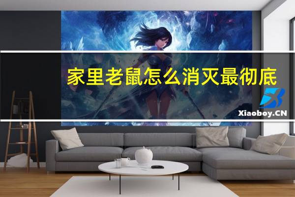 家里老鼠怎么消灭最彻底
