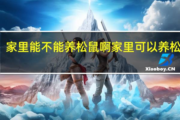 家里能不能养松鼠啊 家里可以养松鼠吗