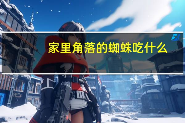 家里角落的蜘蛛吃什么
