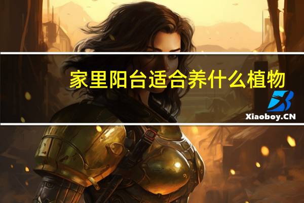 家里阳台适合养什么植物