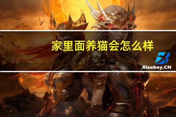 家里面养猫会怎么样