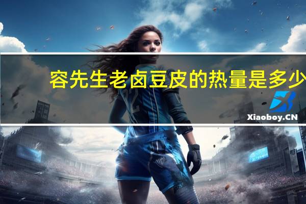 容先生 老卤豆皮的热量是多少