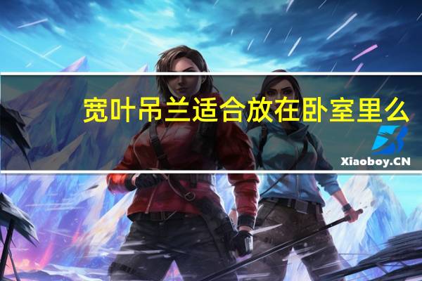 宽叶吊兰适合放在卧室里么