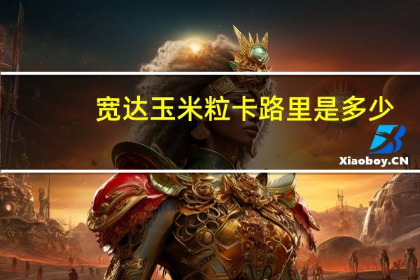 宽达 玉米粒卡路里是多少