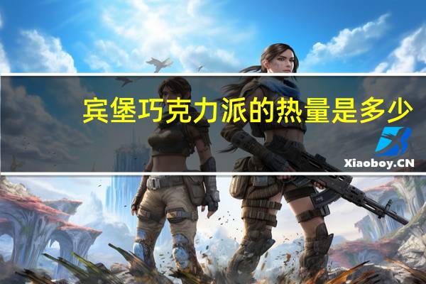 宾堡 巧克力派的热量是多少