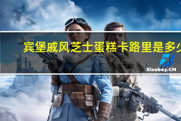 宾堡 戚风芝士蛋糕卡路里是多少